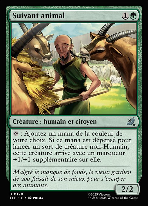 Animal Attendant