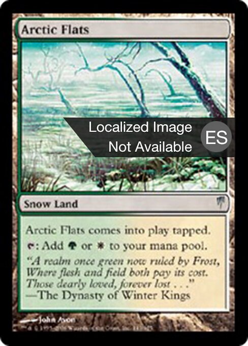 Arktisches Flachland (Arctic Flats) - Coldsnap (#143) - Illustrated by John Avon - Magic: The Gathering Card