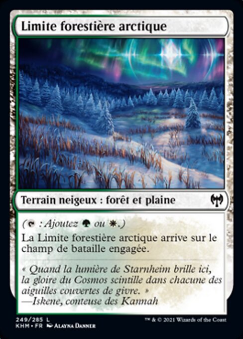 Limite forestière arctique (Arctic Treeline) - Kaldheim (#249) - Illustrated by Alayna Danner - Magic: The Gathering Card