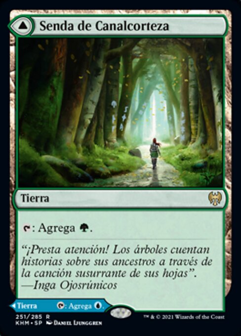 Barkchannel Pathway // Tidechannel Pathway - Kaldheim (#251) - Illustrated by Daniel Ljunggren - Magic: The Gathering Card