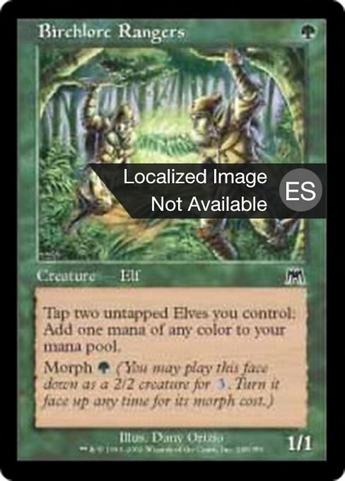 Rangers sapienbouleau (Birchlore Rangers) - Onslaught (#248) - Illustrated by Dany Orizio - Magic: The Gathering Card
