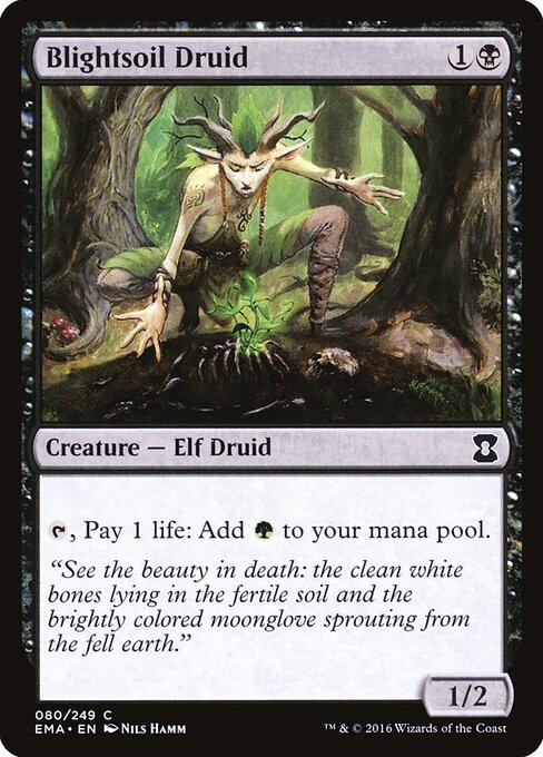 Blightsoil Druid - Eternal Masters Magic card
