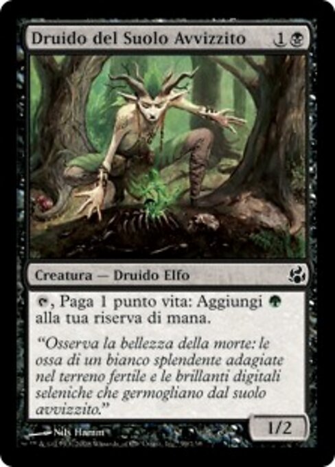 Druide flétriglèbe (Blightsoil Druid) - Morningtide (#59) - Illustrated by Nils Hamm - Magic: The Gathering Card