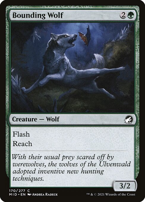 Bounding Wolf - Innistrad: Midnight Hunt Magic card
