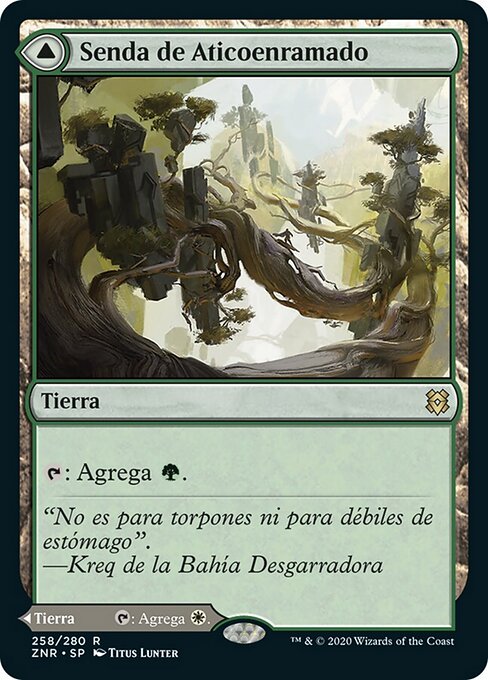 Branchloft Pathway // Boulderloft Pathway - Zendikar Rising (#258) - Illustrated by Titus Lunter - Magic: The Gathering Card