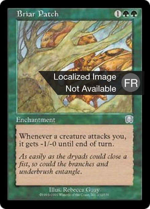 Parcelle de ronces (Briar Patch) - Mercadian Masques (#232) - Illustrated by Rebecca Guay - Magic: The Gathering Card