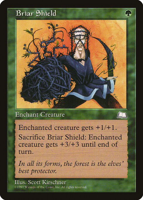 Briar Shield - Weatherlight Magic card
