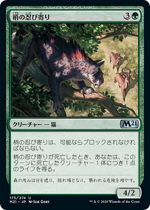 Canopy Stalker