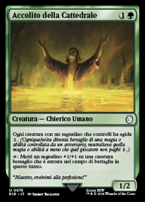 Cathedral Acolyte