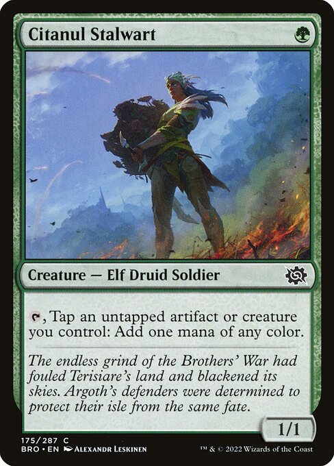 Citanul Stalwart - The Brothers' War Magic card