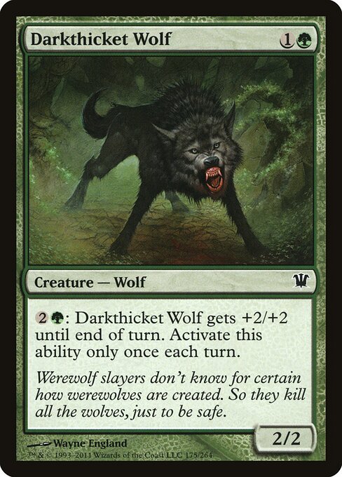 Darkthicket Wolf - Innistrad Magic card