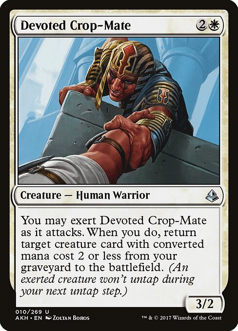 虔誠群伴 (Devoted Crop-Mate) - Amonkhet (#10) - Illustrated by Zoltan Boros - Magic: The Gathering Card