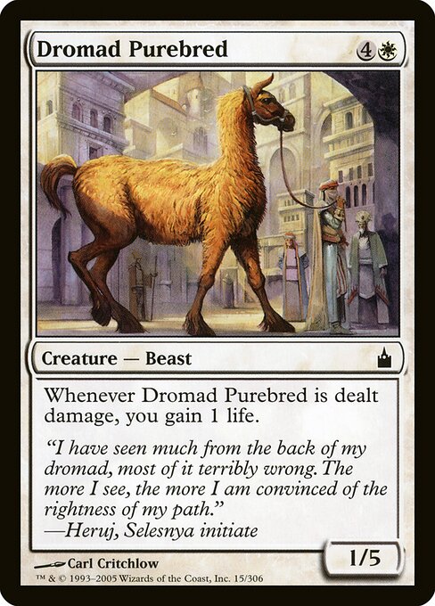 Dromad Purebred - Ravnica: City of Guilds Magic card