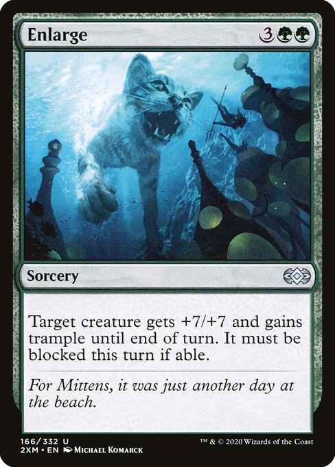 Enlarge - Double Masters Magic card