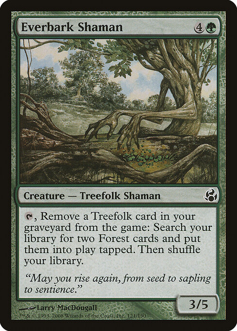 Everbark Shaman - Morningtide Magic card
