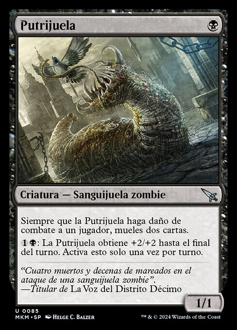 Festerleech