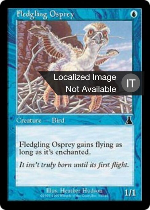 Filhote de Águia Marinha (Fledgling Osprey) - Urza's Destiny (#33) - Illustrated by Heather Hudson - Magic: The Gathering Card