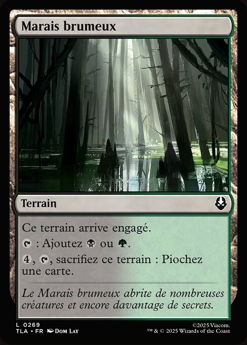 Foggy Bottom Swamp