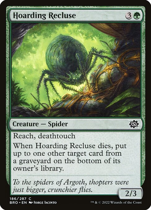 Hoarding Recluse - The Brothers' War Magic card