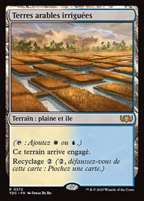 Irrigated Farmland - Doctor Who (#504) - Illustrated by Pablo Mendoza - Magic: The Gathering Card