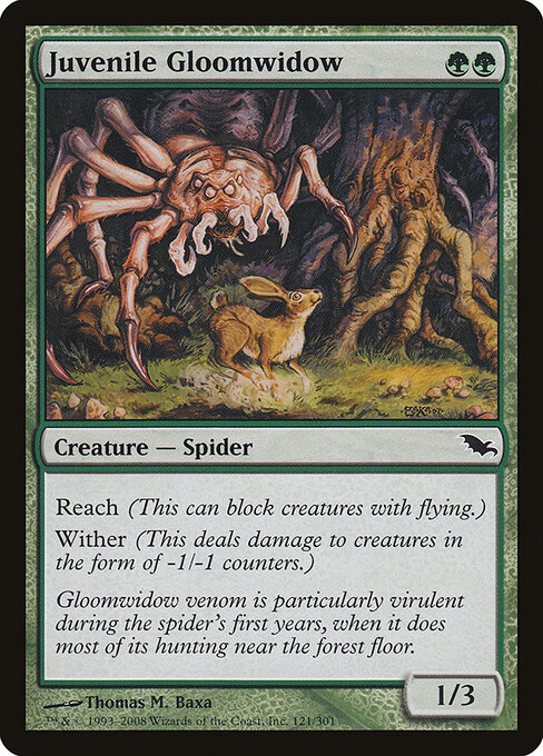 Juvenile Gloomwidow - Shadowmoor Magic card