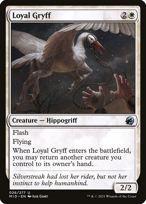 Loyal Gryff - Innistrad: Midnight Hunt Magic card
