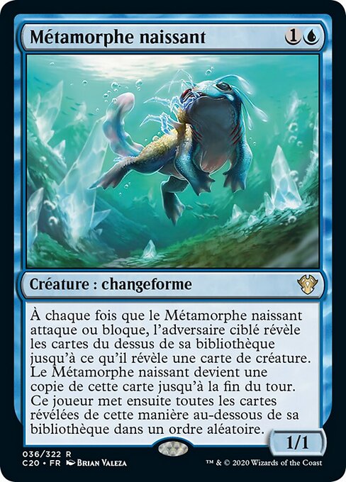 Métamorphe naissant (Nascent Metamorph) - Commander 2020 (#36) - Illustrated by Brian Valeza - Magic: The Gathering Card