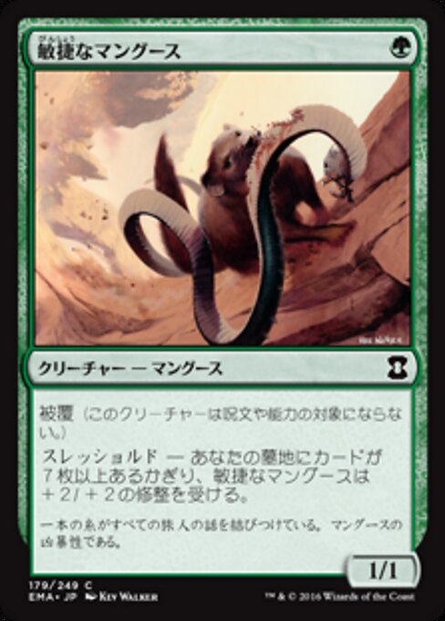 敏捷なマングース (Nimble Mongoose) - Eternal Masters (#179) - Illustrated by Kev Walker - Magic: The Gathering Card
