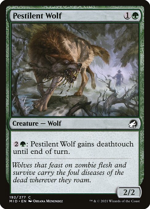 Pestilent Wolf - Innistrad: Midnight Hunt Magic card