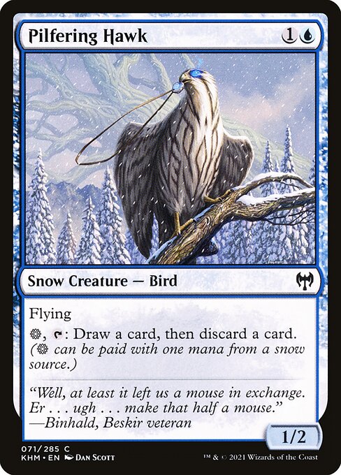 Falco Ladruncolo (Pilfering Hawk) - Kaldheim (#71) - Illustrated by Dan Murayama Scott - Magic: The Gathering Card