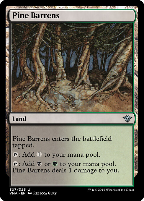 Pine Barrens - Tempest (#321) - Illustrated by Rebecca Guay - Magic: The Gathering Card