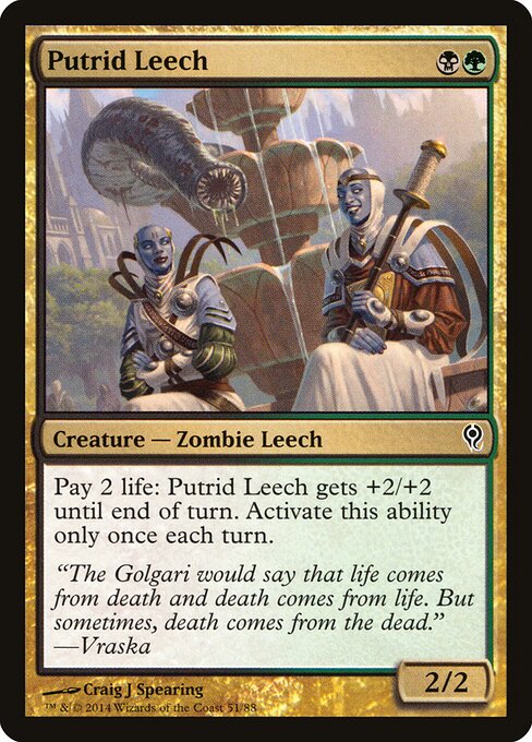 Putrid Leech - Duel Decks: Jace vs. Vraska (#51) - Illustrated by Craig J Spearing - Magic: The Gathering Card