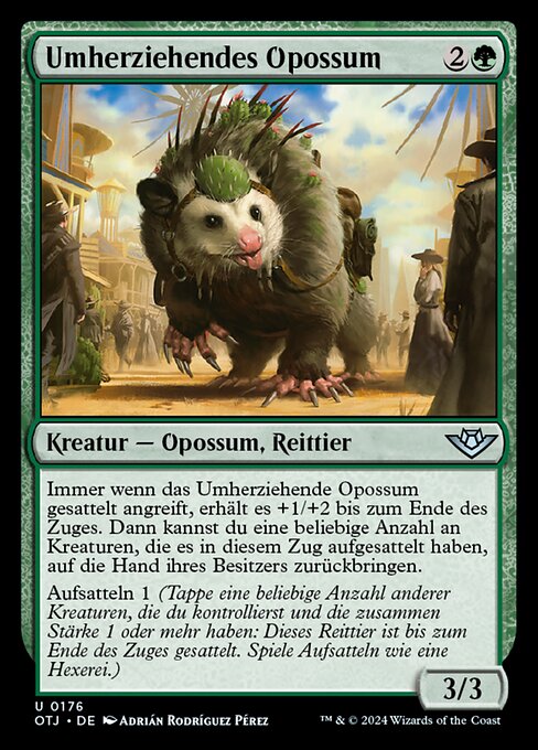 Rambling Possum