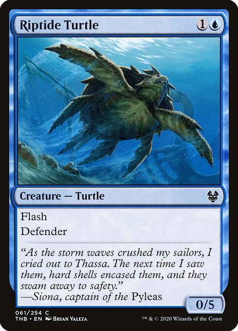 Riptide Turtle - Theros Beyond Death Magic card