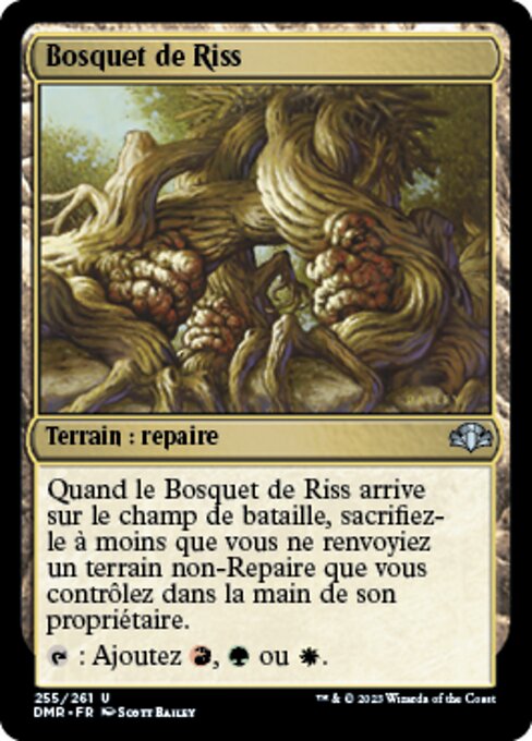 Bosque de Rith (Rith's Grove) - Planeshift (#141) - Illustrated by Scott Bailey - Magic: The Gathering Card