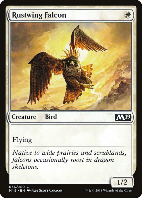 Rustwing Falcon - Core Set 2019 Magic card