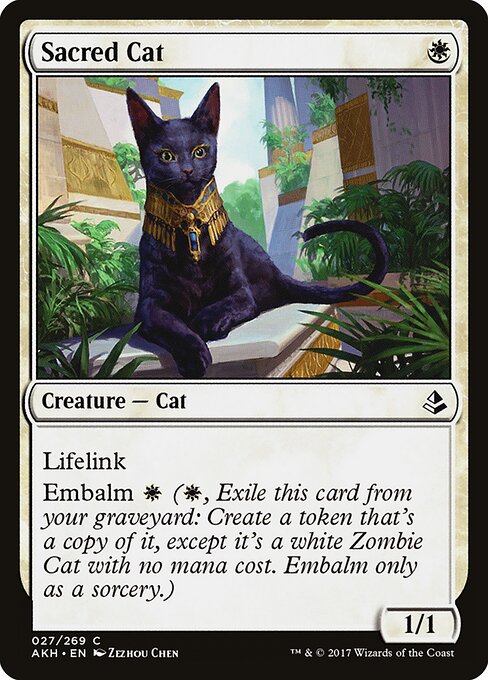Sacred Cat - Amonkhet Magic card
