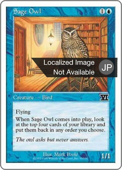 Gufo Sapiente (Sage Owl) - Eighth Edition (#98) - Illustrated by Mark Brill - Magic: The Gathering Card