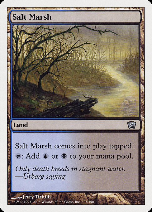Salt Marsh - Eighth Edition Magic card