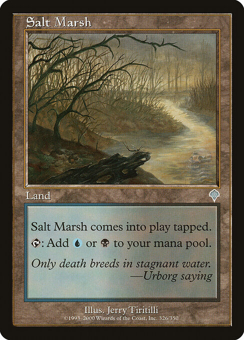 Salt Marsh - Invasion (#326) - Illustrated by Jerry Tiritilli - Magic: The Gathering Card