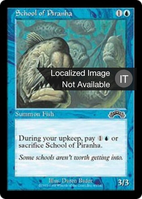 School of Piranha