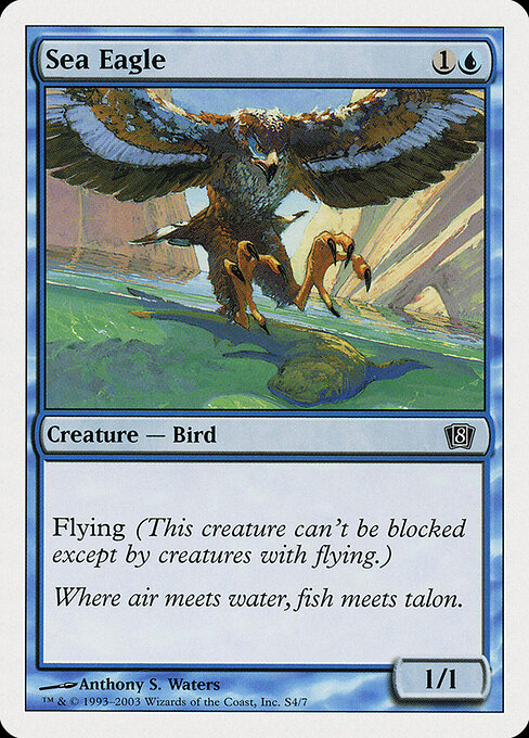Sea Eagle - Eighth Edition (#S4) - Illustrated by Anthony S. Waters - Magic: The Gathering Card