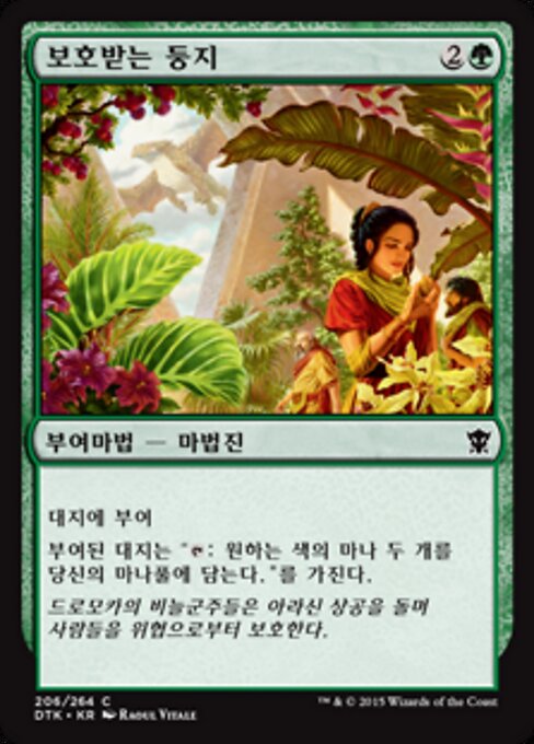 보호받는 둥지 (Sheltered Aerie) - Dragons of Tarkir (#206) - Illustrated by Raoul Vitale - Magic: The Gathering Card