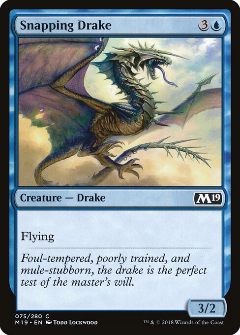 Drakôn happeur (Snapping Drake) - Core Set 2019 (#75) - Illustrated by Todd Lockwood - Magic: The Gathering Card