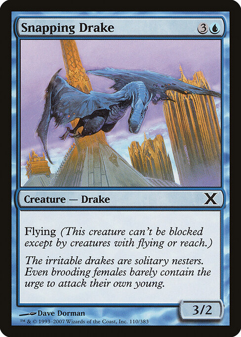 闪光龙兽 (Snapping Drake) - Tenth Edition (#110) - Illustrated by Dave Dorman - Magic: The Gathering Card