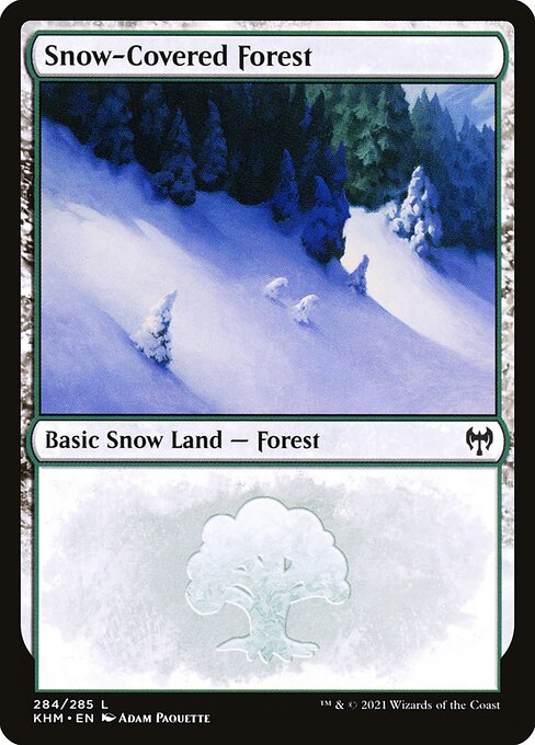 Snow-Covered Forest - Kaldheim Magic card