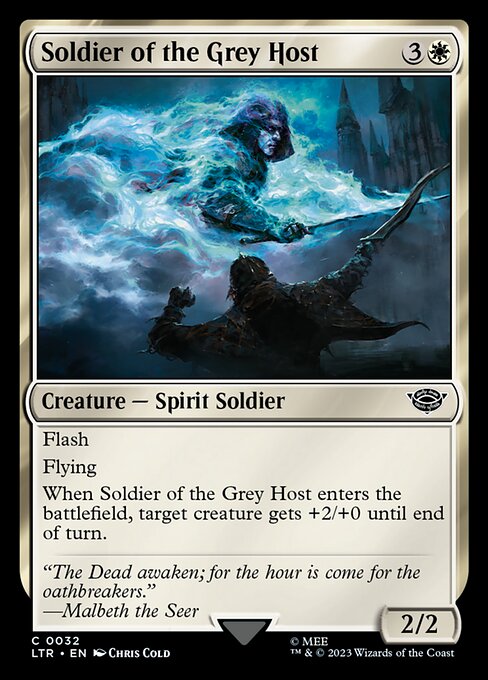 Soldier of the Grey Host - The Lord of the Rings: Tales of Middle-earth Magic card