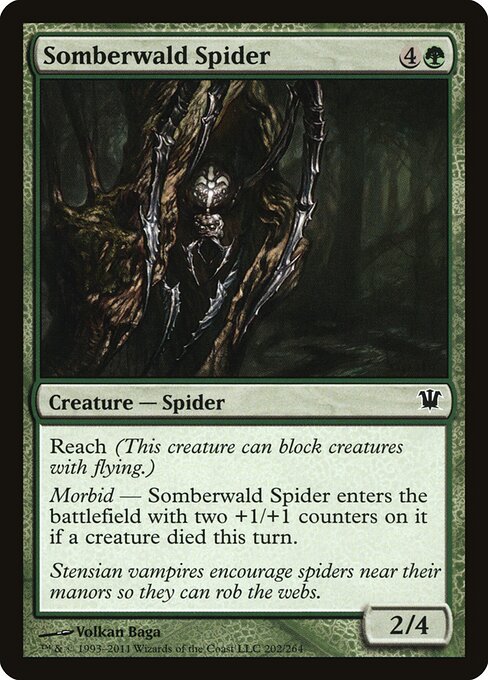 Somberwald Spider - Innistrad Magic card