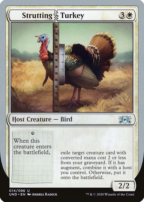 Strutting Turkey - Unsanctioned (#14) - Illustrated by Andrea Radeck - Magic: The Gathering Card