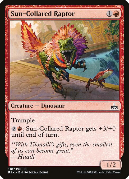 太陽襟の猛竜 (Sun-Collared Raptor) - Rivals of Ixalan (#118) - Illustrated by Zoltan Boros - Magic: The Gathering Card